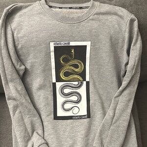 Roberto Cavalli Gray Sweatshirt with Gold and Silver Snake Design